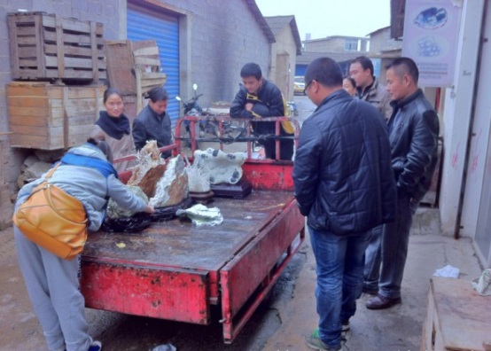 長(zhǎng)沙市譚力礦產(chǎn)品有限公司,長(zhǎng)沙礦產(chǎn)品銷售,工藝品銷售,鉆石飾品批發(fā)